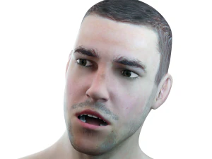 male head rigged model 3D Model