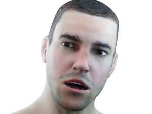 male head rigged model 3D 모델