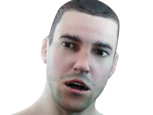 male head rigged model 3D Model