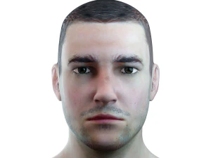 male head rigged model 3D Model