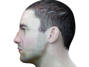 male head rigged model 3D 모델