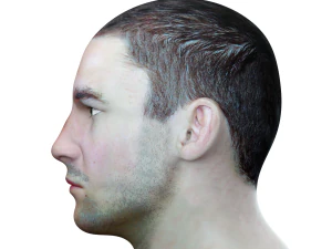 male head rigged model 3D Model