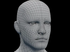 male head rigged model 3D Model
