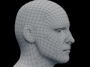 male head rigged model 3D 모델