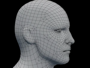 male head rigged model 3D Model