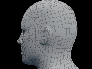male head rigged model 3D 모델