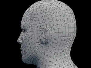 male head rigged model 3D Model