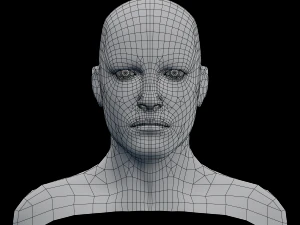 male head rigged model 3D Model