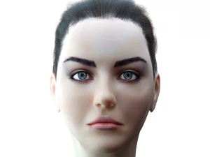 女性の頭部モデル 3Dモデル