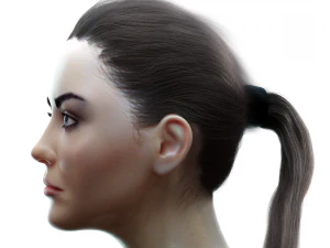 女性の頭部モデル 3Dモデル