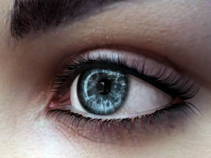 女性の頭部モデル 3Dモデル