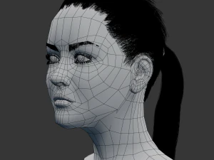 女性の頭部モデル 3Dモデル