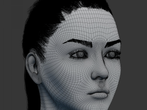female head model Modelo 3D