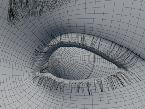 female head model Modelo 3D