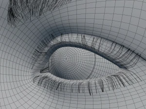 女性の頭部モデル 3Dモデル