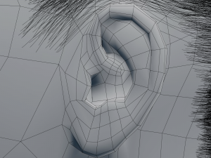 female head model Modelo 3D