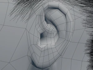 女性の頭部モデル 3Dモデル