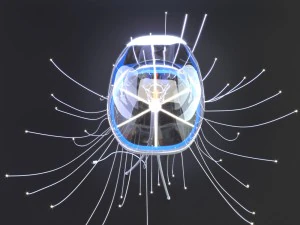 jellyfish lamp spira mirabilis 3D Model