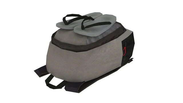 bag 02 3D Model .c4d .max .obj .3ds .fbx .stl .blend 