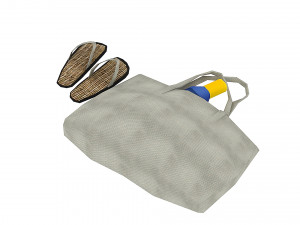 bag 03 Model 3D