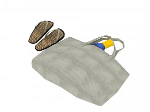 bag 03 3D Model
