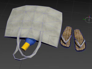 bag 03 3D Model