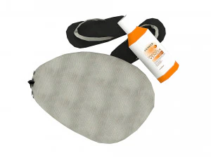 bag 04 3D Model