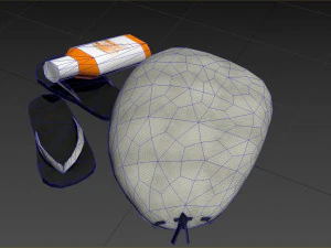 bag 04 3D Model