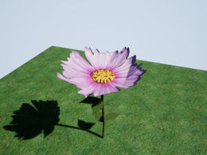 flowers 3D 模型