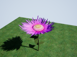 flowers 3D 模型