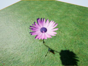 flowers 3D Model