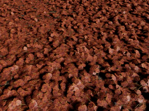 ivy-pack 3D Model