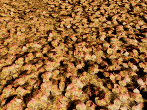 ivy-pack 3D Model