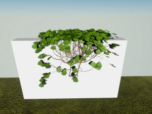 ivy-pack 3D Model