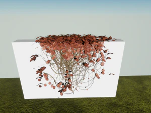 ivy-pack 3D Model