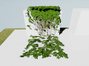 ivy-pack 3D Model