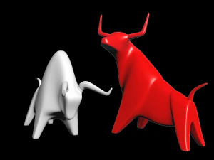 bulls 3D Model