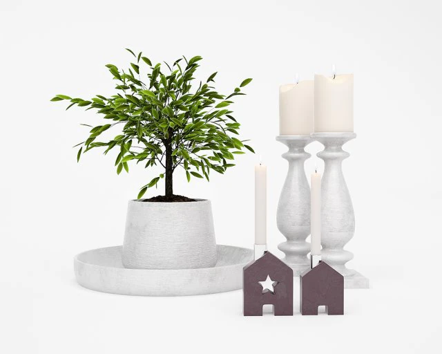accessories set 12 3D Model .c4d .max .obj .3ds .fbx .stl .blend