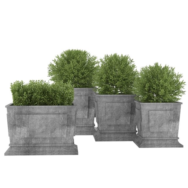 plants 01 Modello 3D .c4d .max .obj .3ds .fbx .stl .blend 
