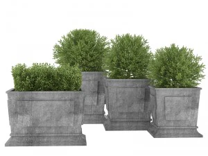 植物01 3Dモデル