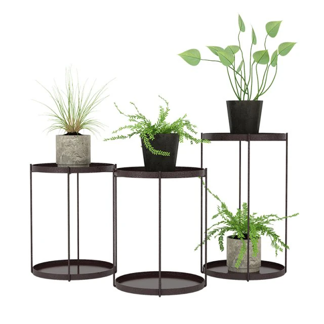 plants 02 3D Model .c4d .max .obj .3ds .fbx .stl .blend 
