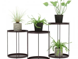 植物02 3Dモデル