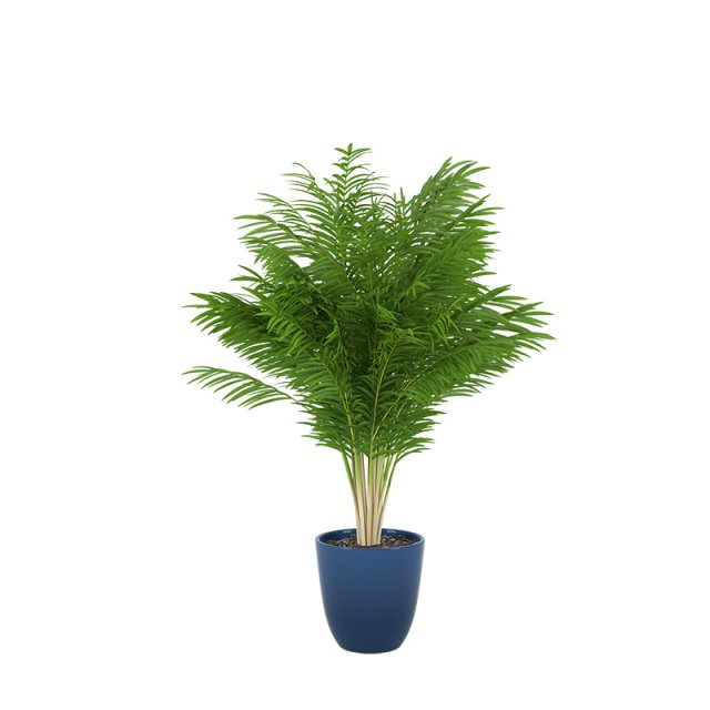 plants 05 3D-Modell .c4d .max .obj .3ds .fbx .stl .blend 