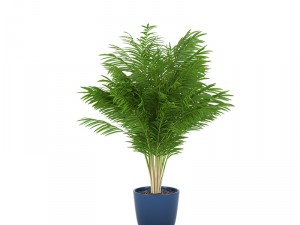 plants 05 3D Model