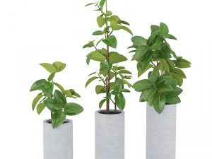 植物06 3Dモデル