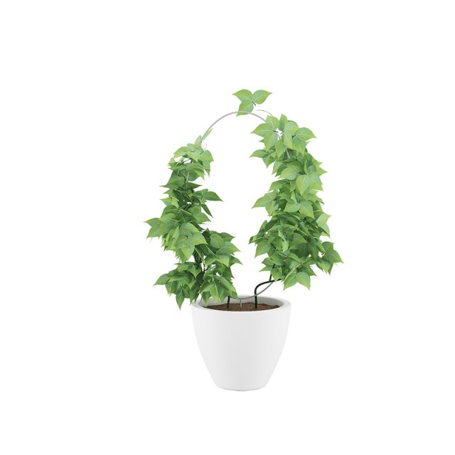 plants 08 3D Model .c4d .max .obj .3ds .fbx .stl .blend 