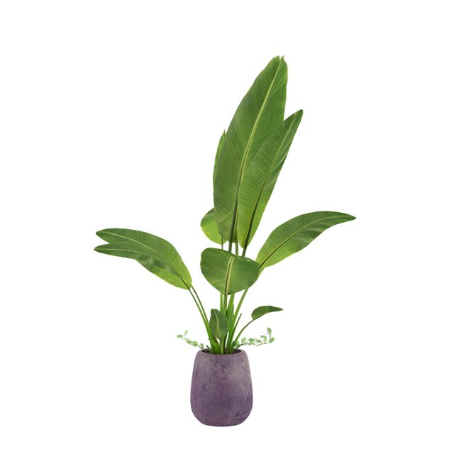 plants 09 3D Model .c4d .max .obj .3ds .fbx .stl .blend 