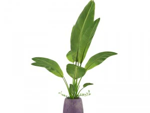 植物09 3Dモデル