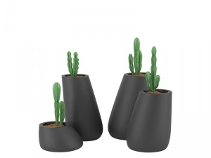 plants 11 3D Model