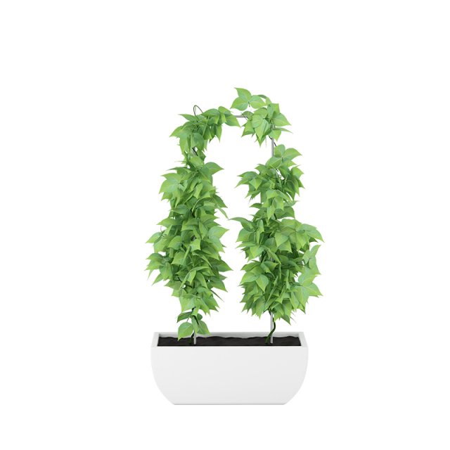 plants 12 3D Model .c4d .max .obj .3ds .fbx .stl .blend 